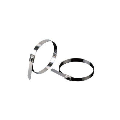 RYAN 304 Stainless Steel Cable Ties: For Industrial/Construction/Marine/Automotive Use, 1000-3115N Tensile Strength