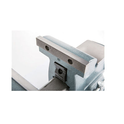 Multi-Type Square Steel Bench Vise – For Auto Repair/Metalworking, ADI Material & Strong Clamping Force